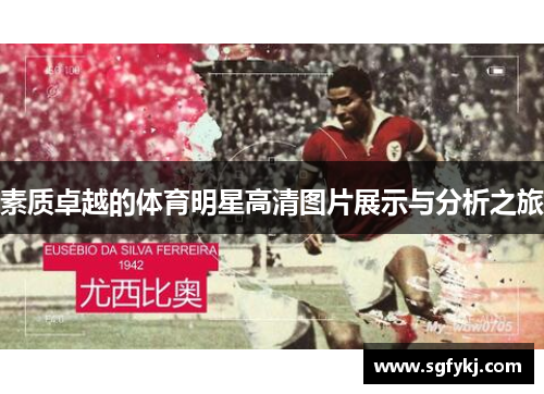 素质卓越的体育明星高清图片展示与分析之旅