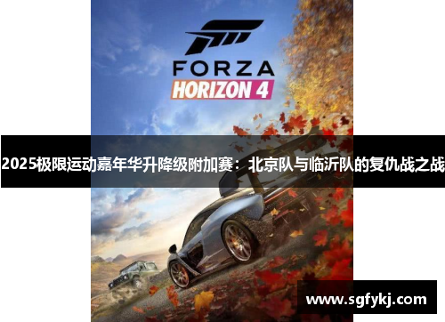 2025极限运动嘉年华升降级附加赛：北京队与临沂队的复仇战之战
